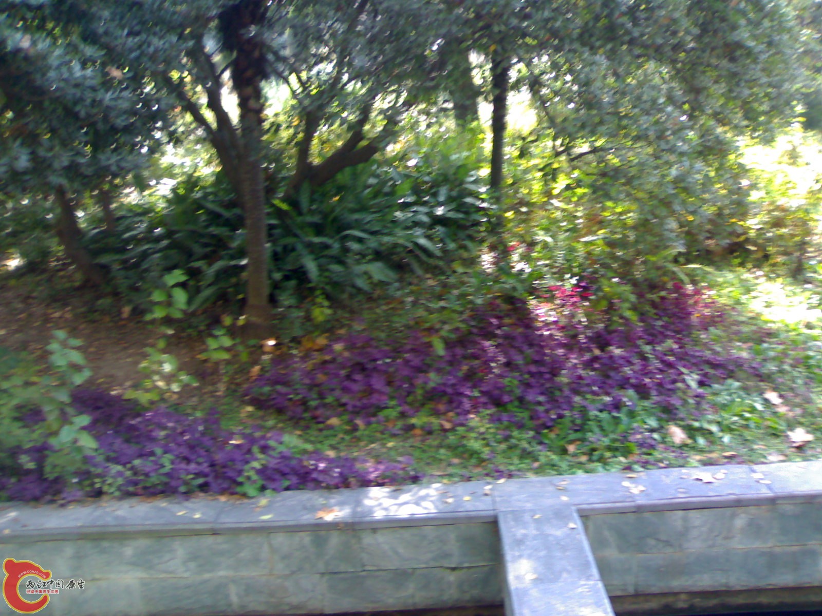 20101112887.jpg