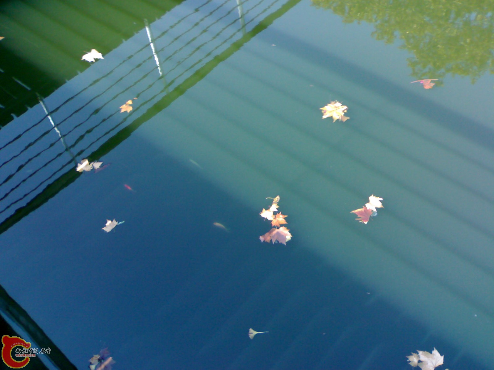 20101112891.jpg