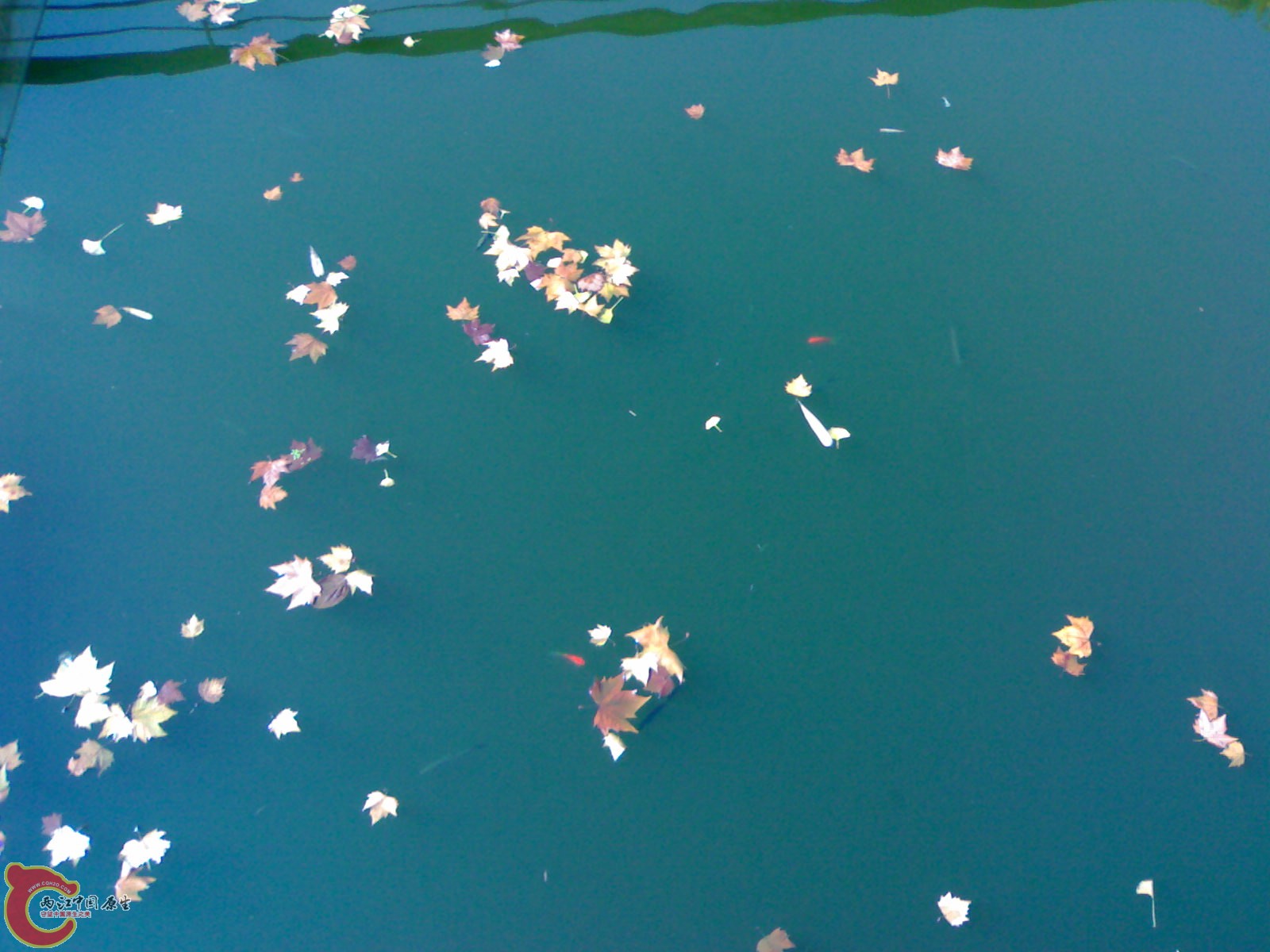 20101112892.jpg