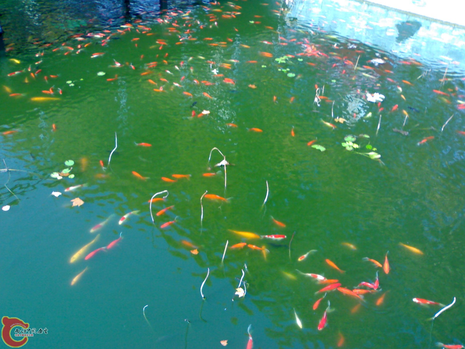 20101112893.jpg