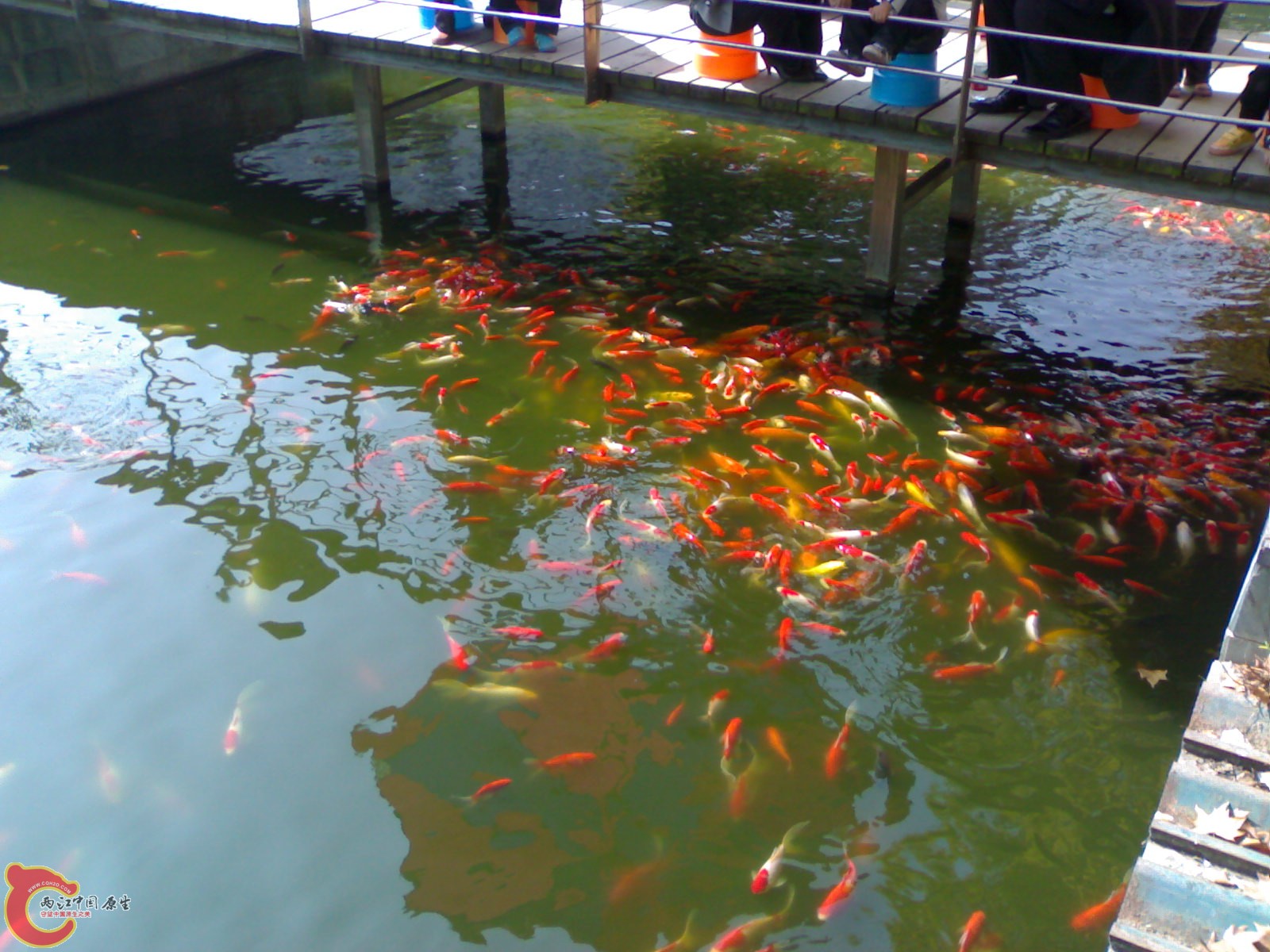 20101112900.jpg