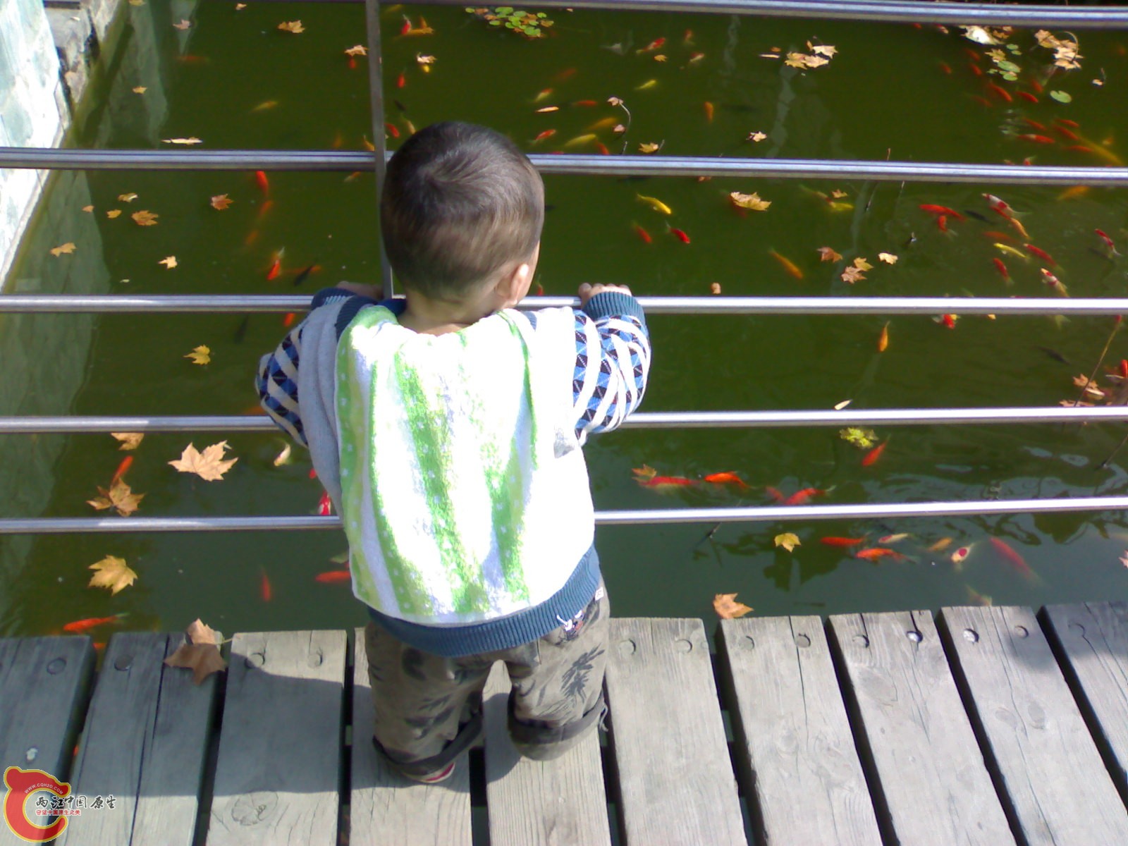 20101112895.jpg