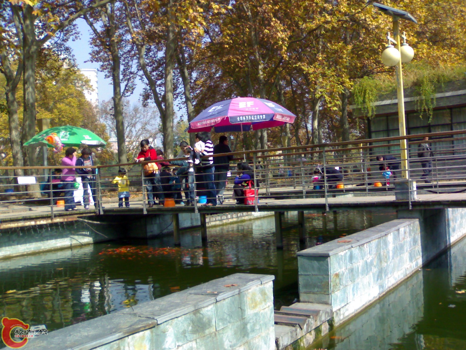 20101112911.jpg