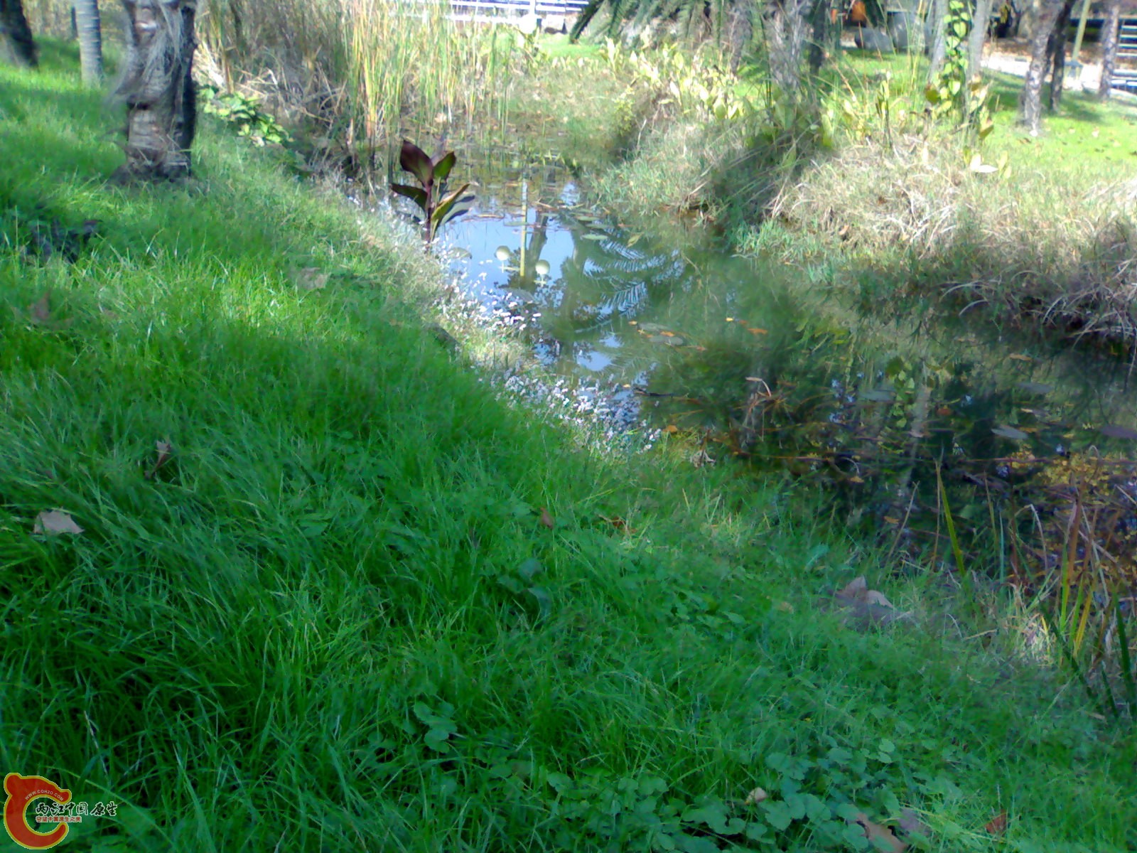 20101112904.jpg