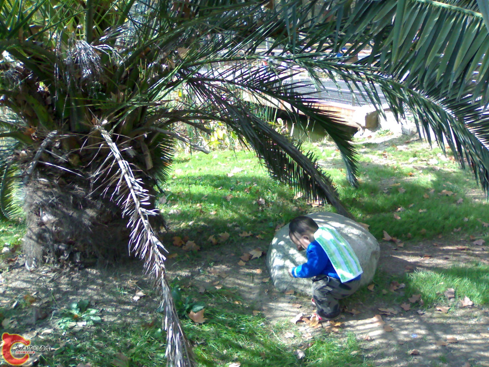 20101112918.jpg
