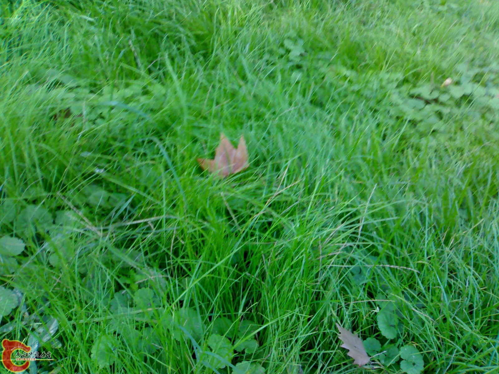20101112903.jpg