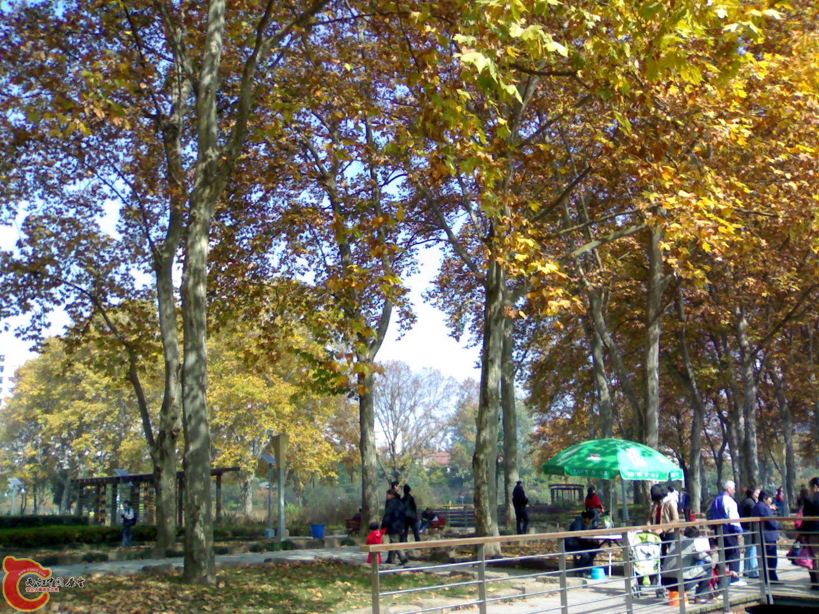 20101112919.jpg