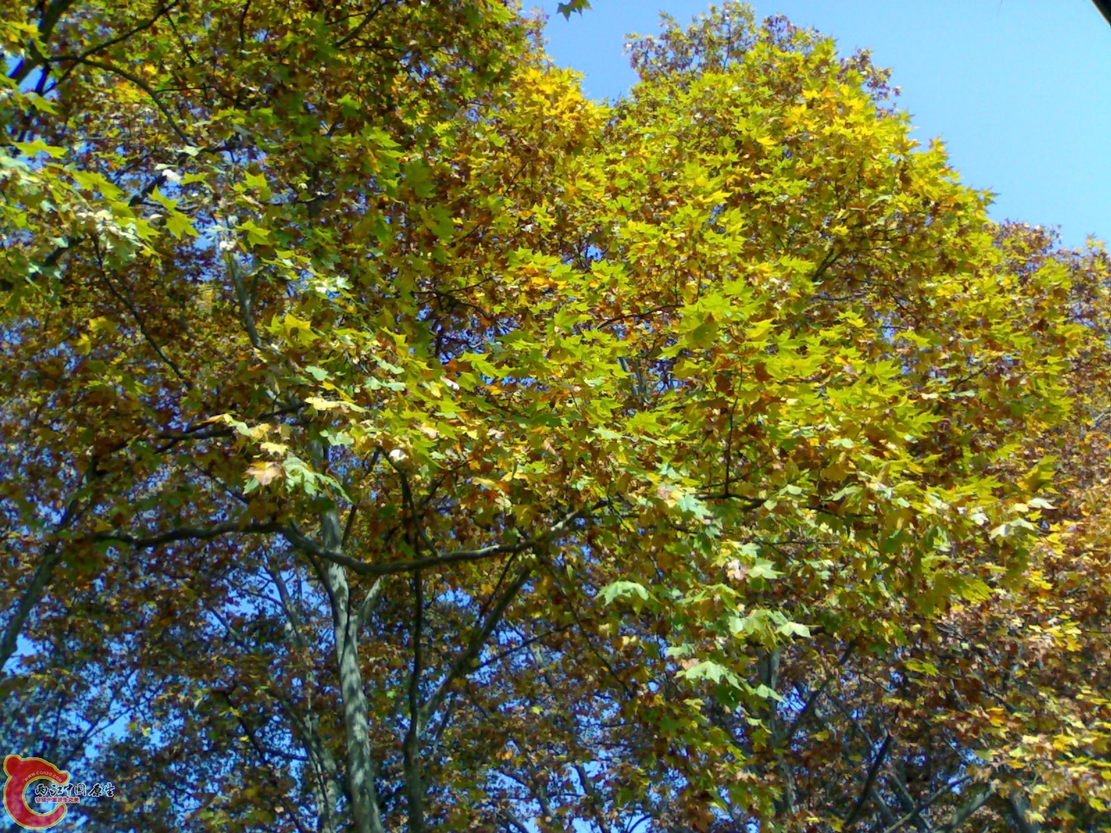 20101112920.jpg