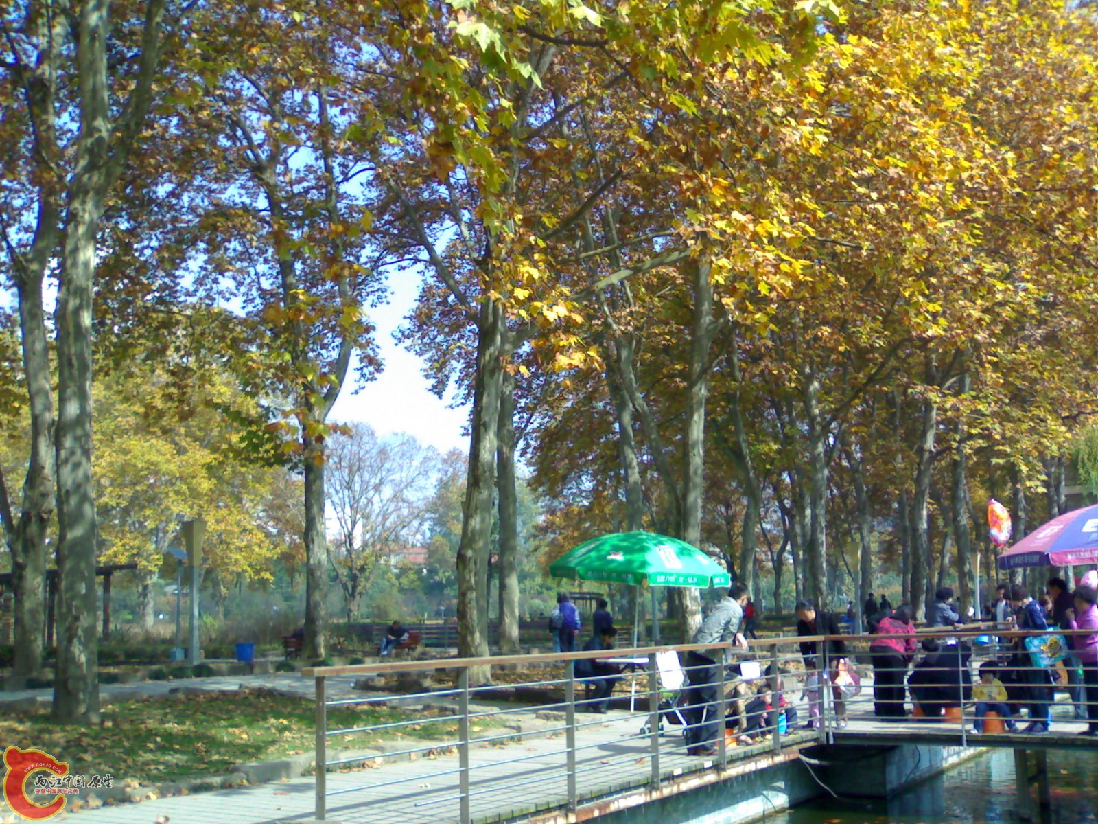 20101112924.jpg