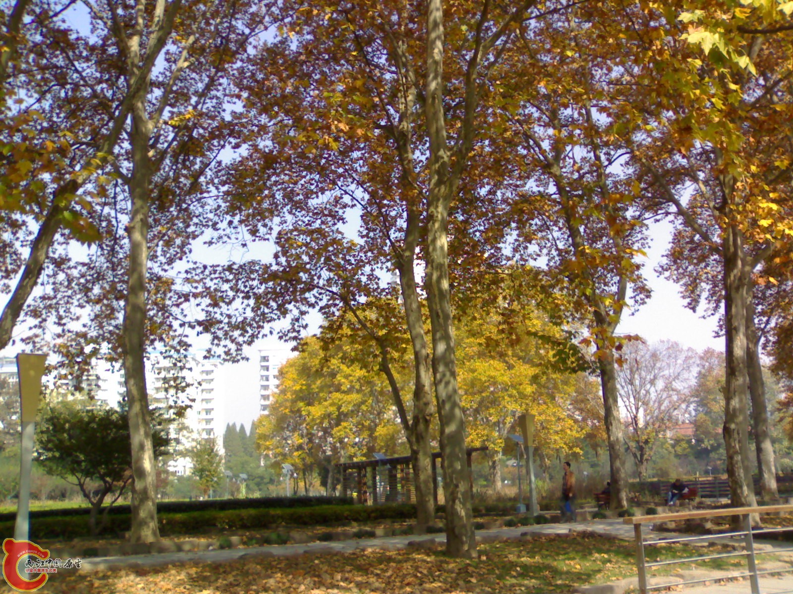 20101112923.jpg