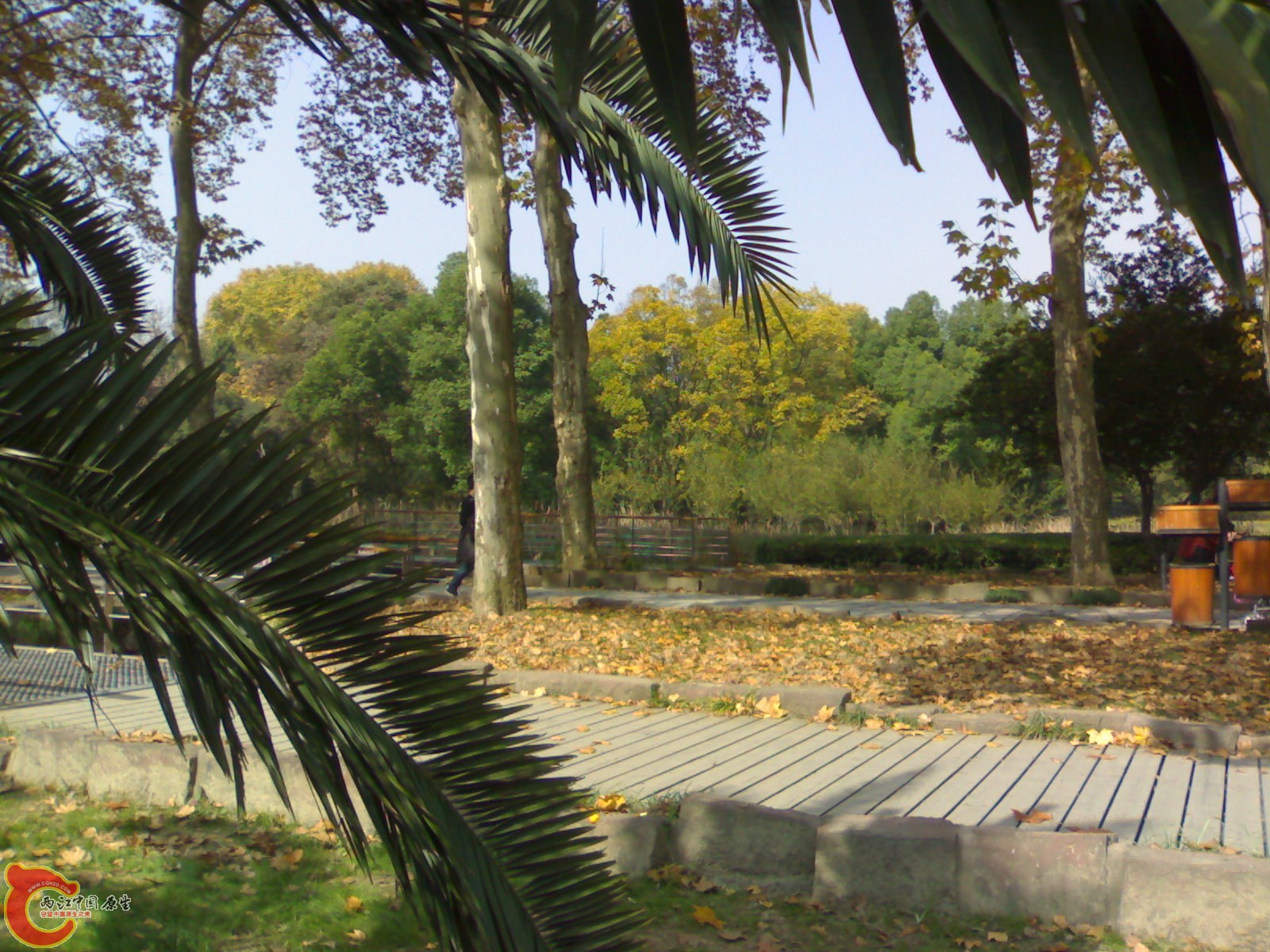 20101112922.jpg