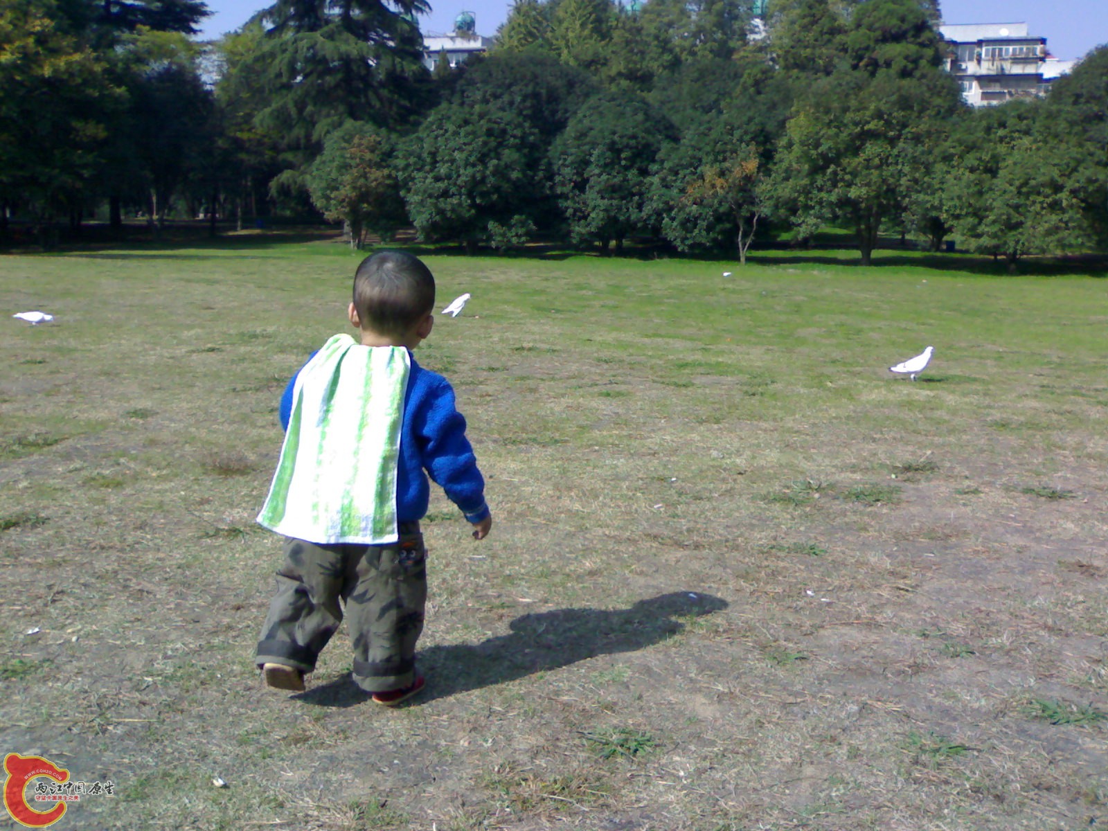 20101112930.jpg