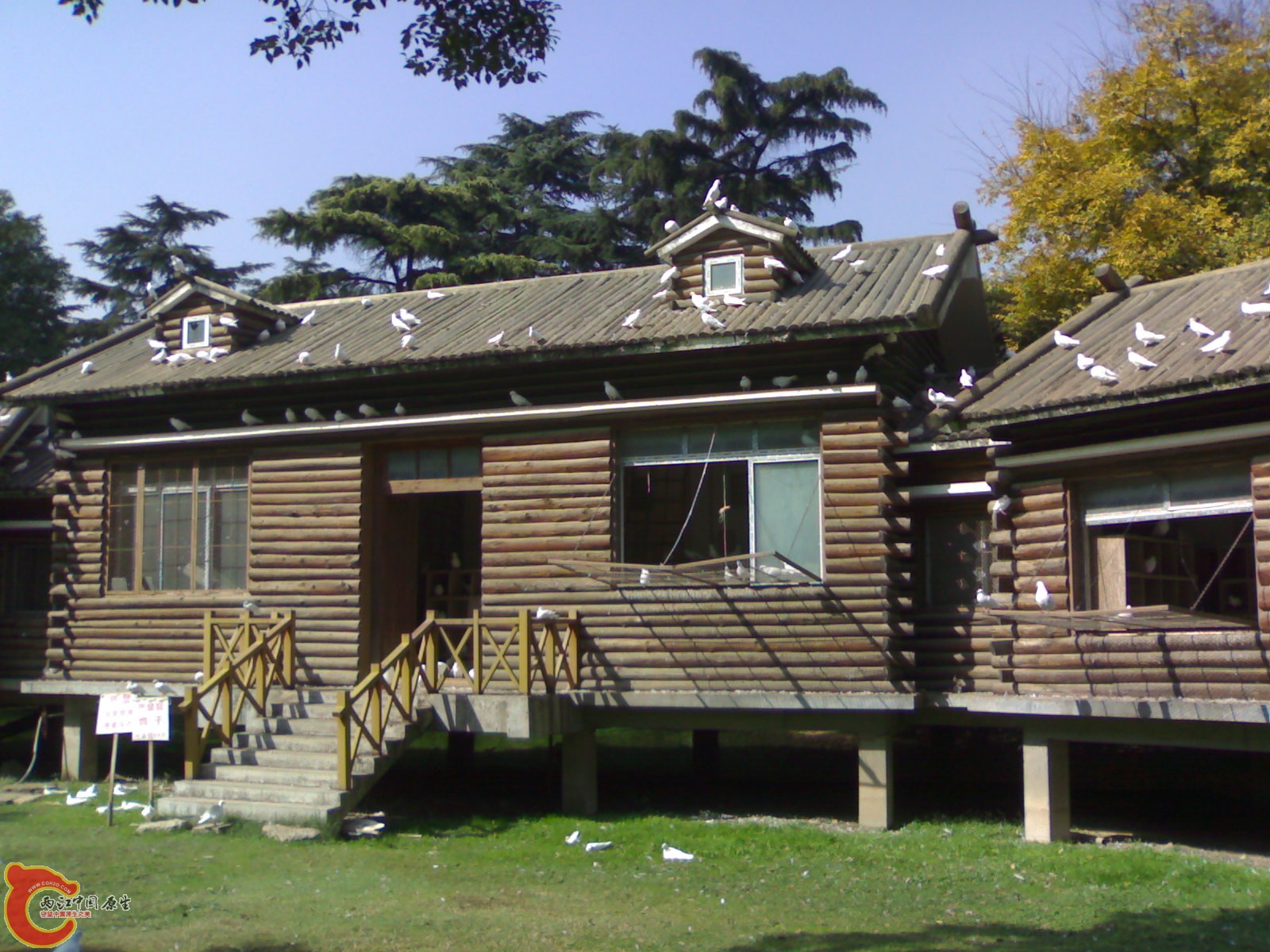 20101112932.jpg