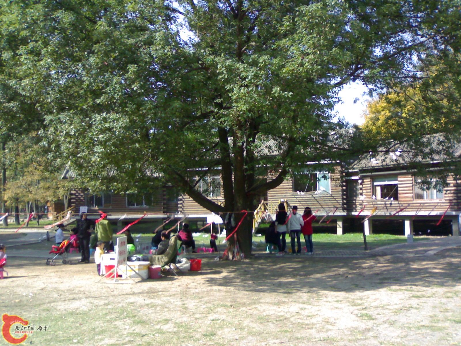 20101112934.jpg