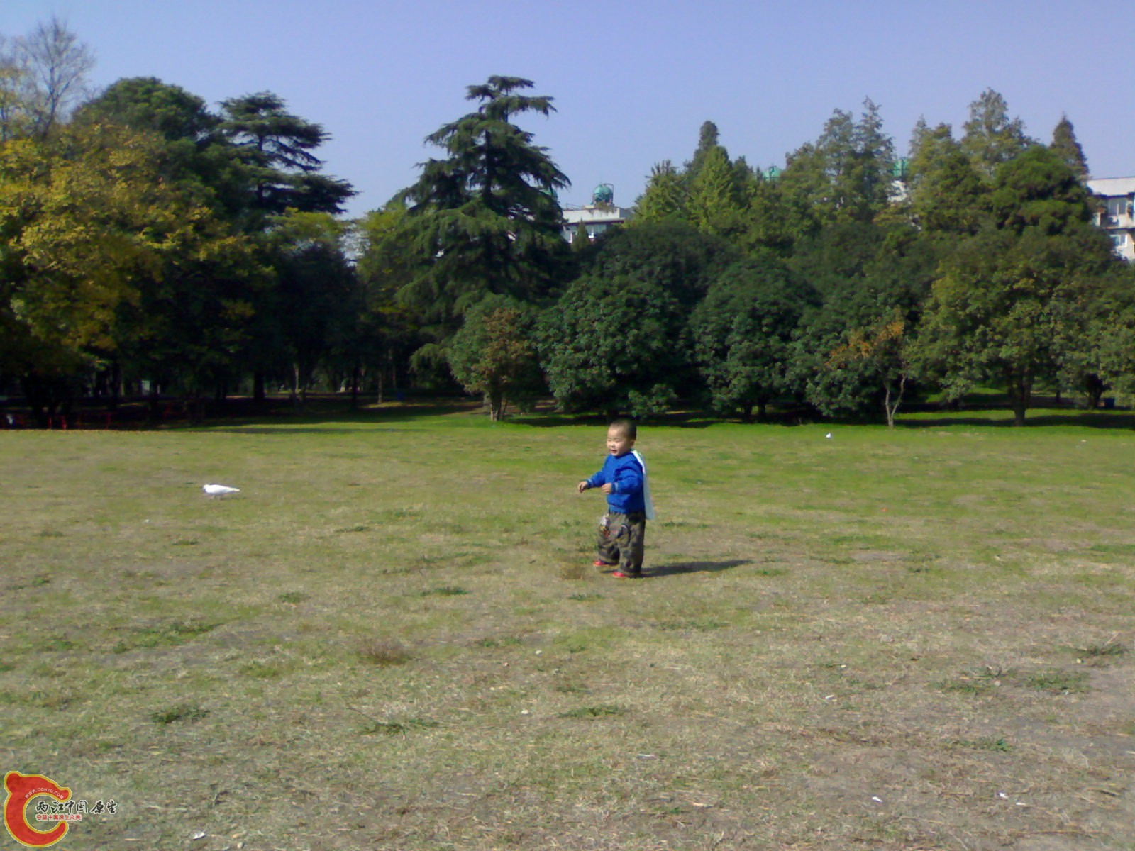 20101112931.jpg