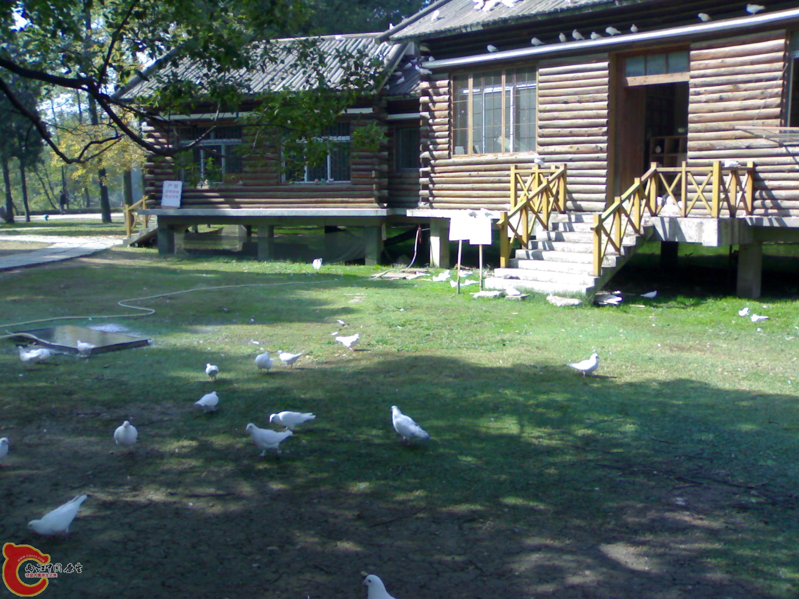 20101112933.jpg