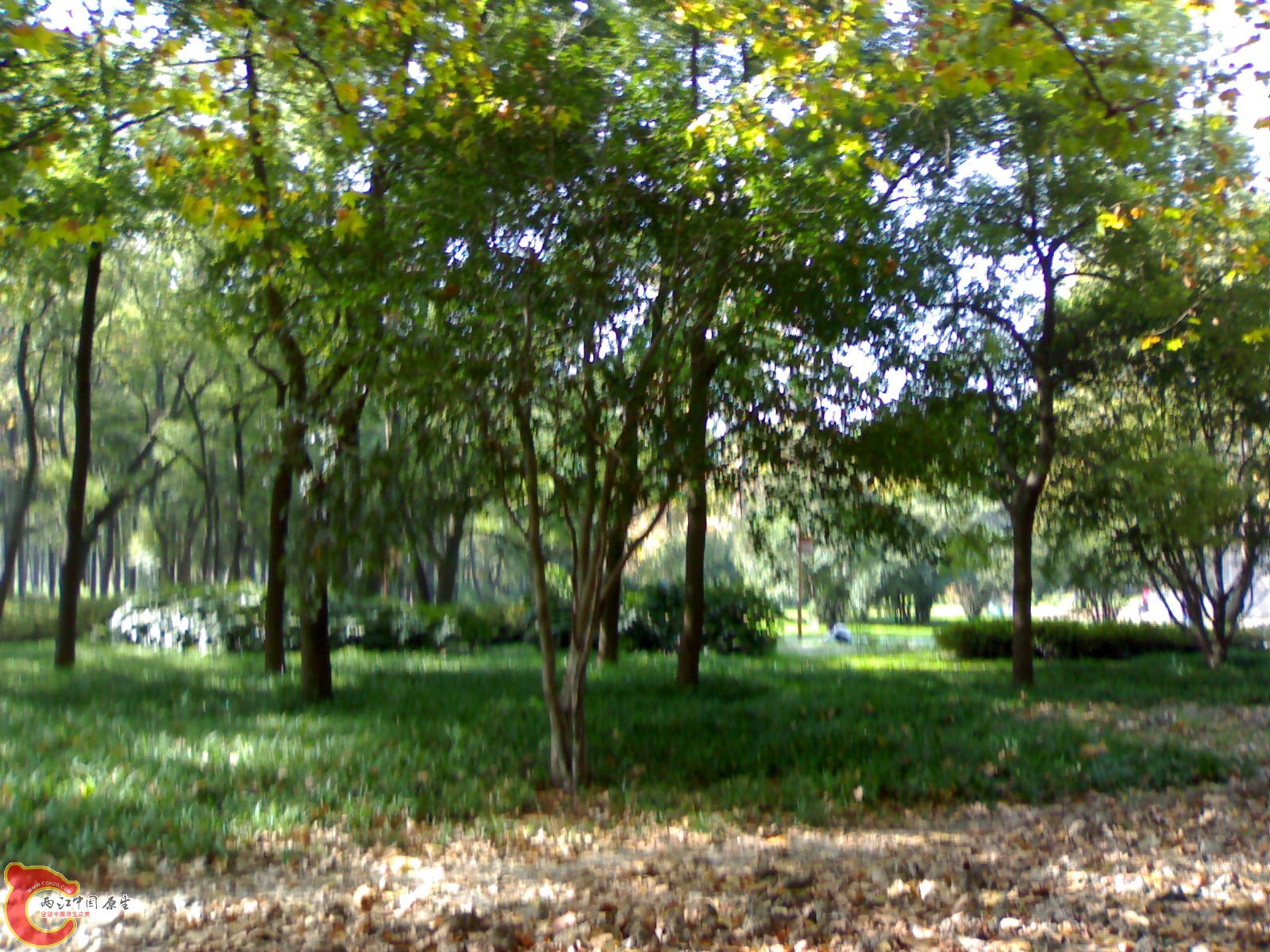20101112936.jpg
