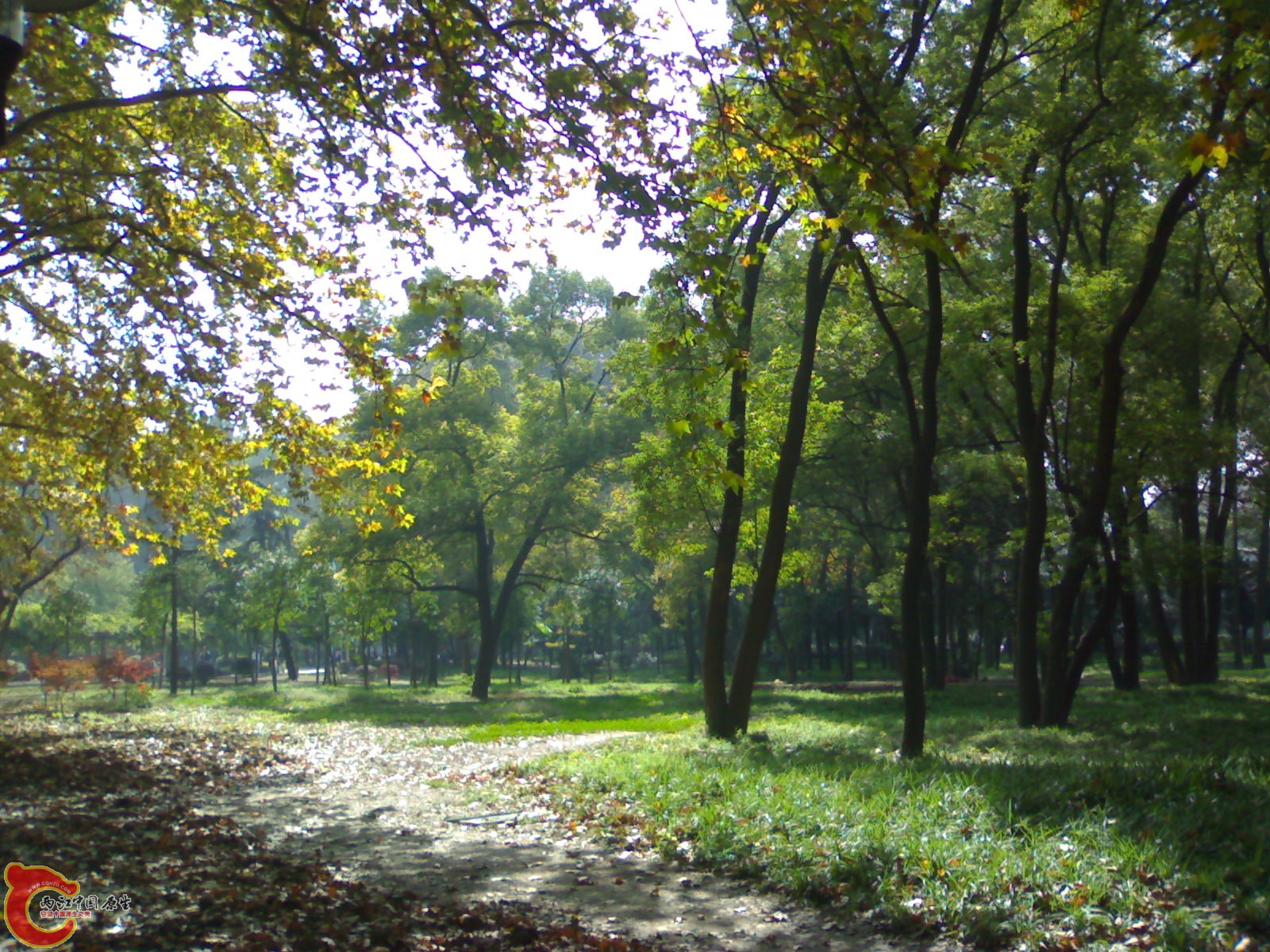 20101112938.jpg