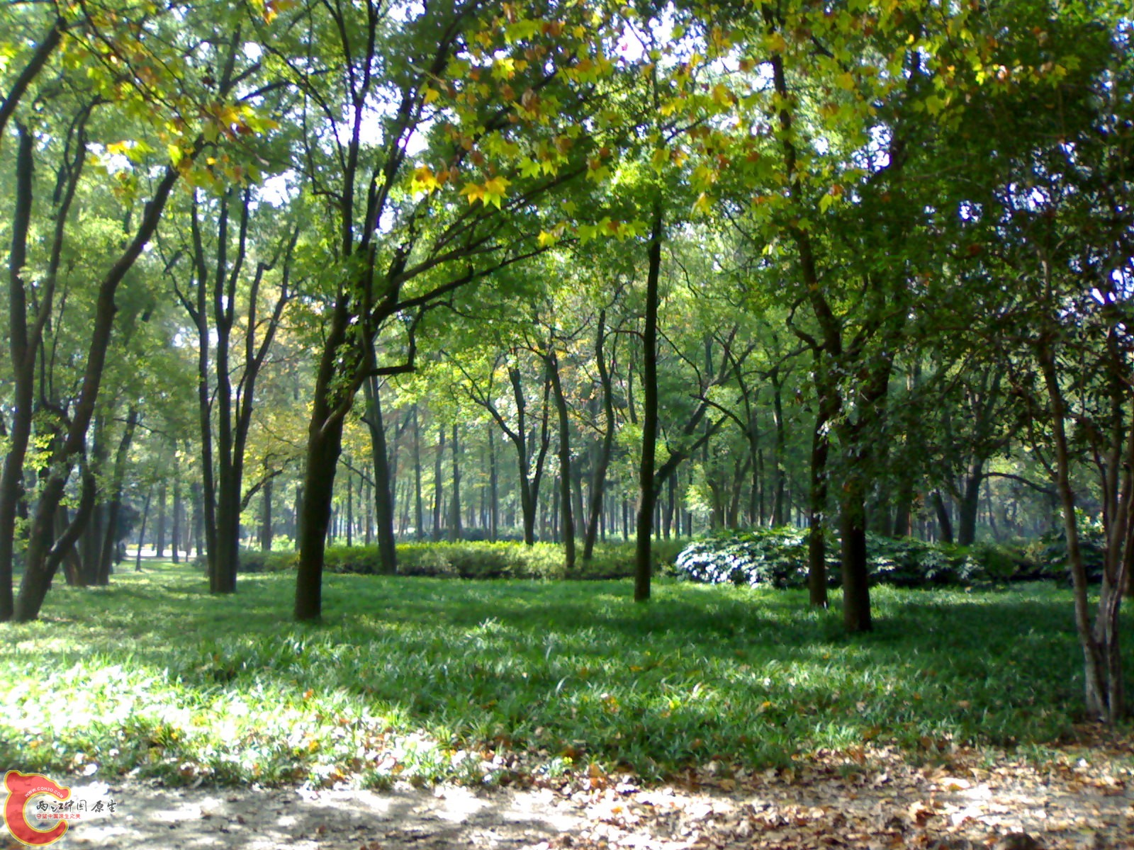 20101112935.jpg