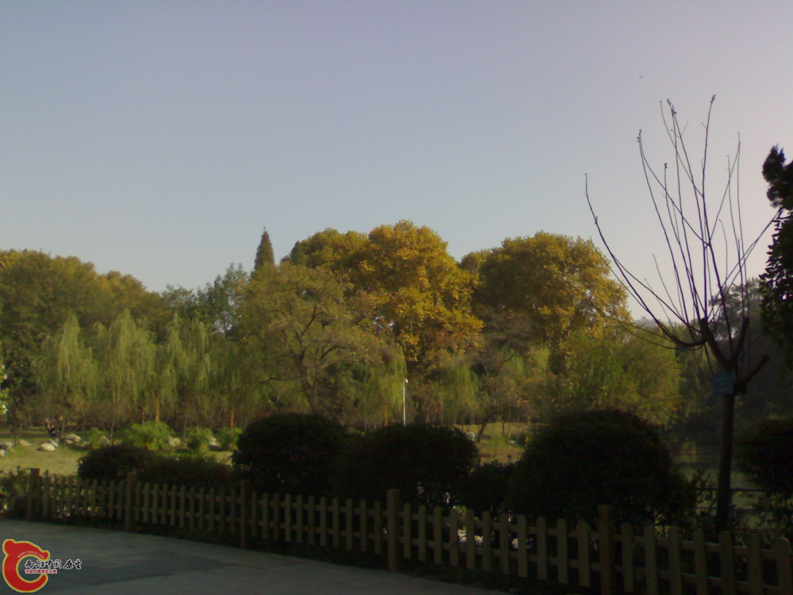 20101112940.jpg