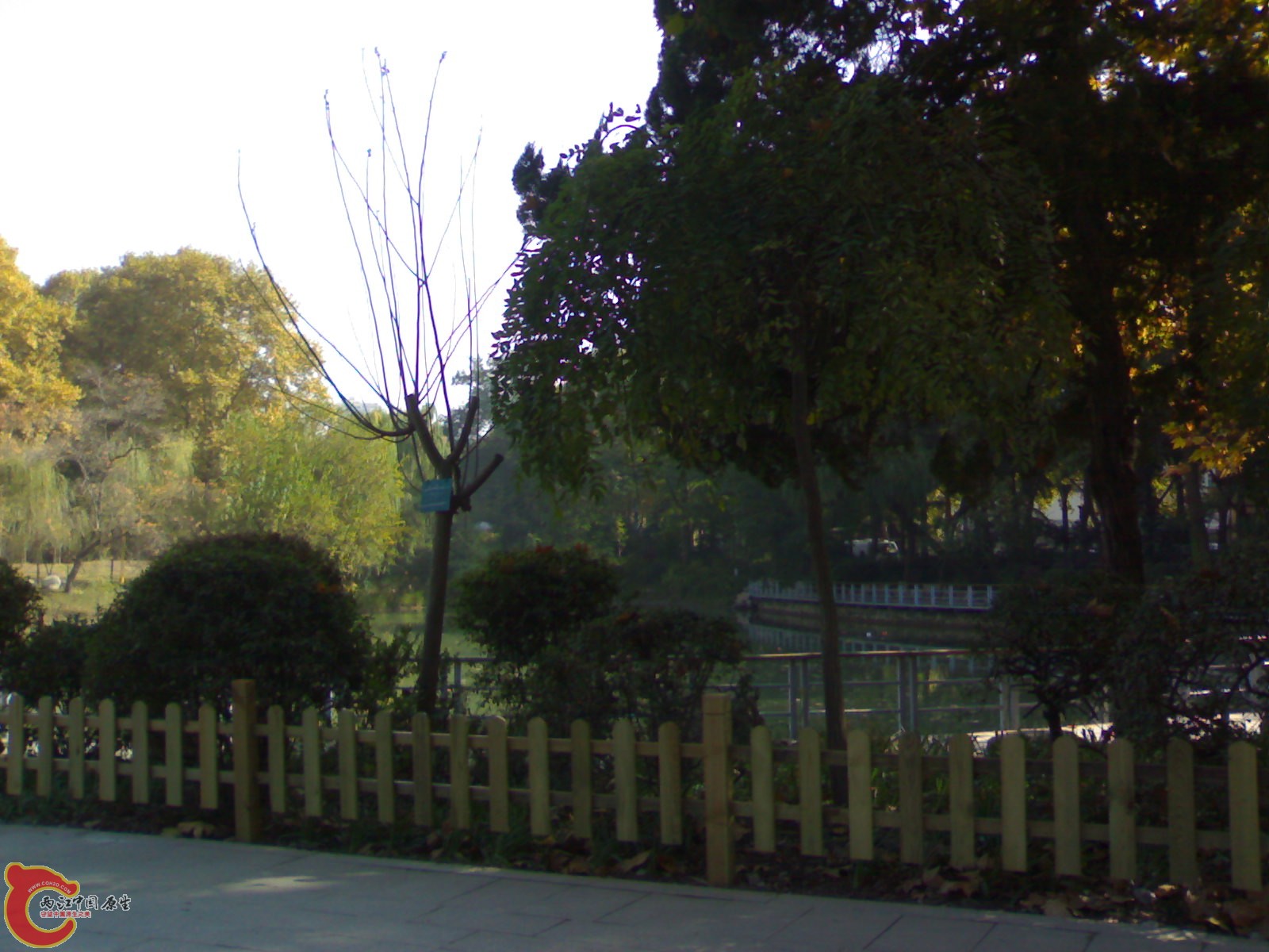 20101112941.jpg
