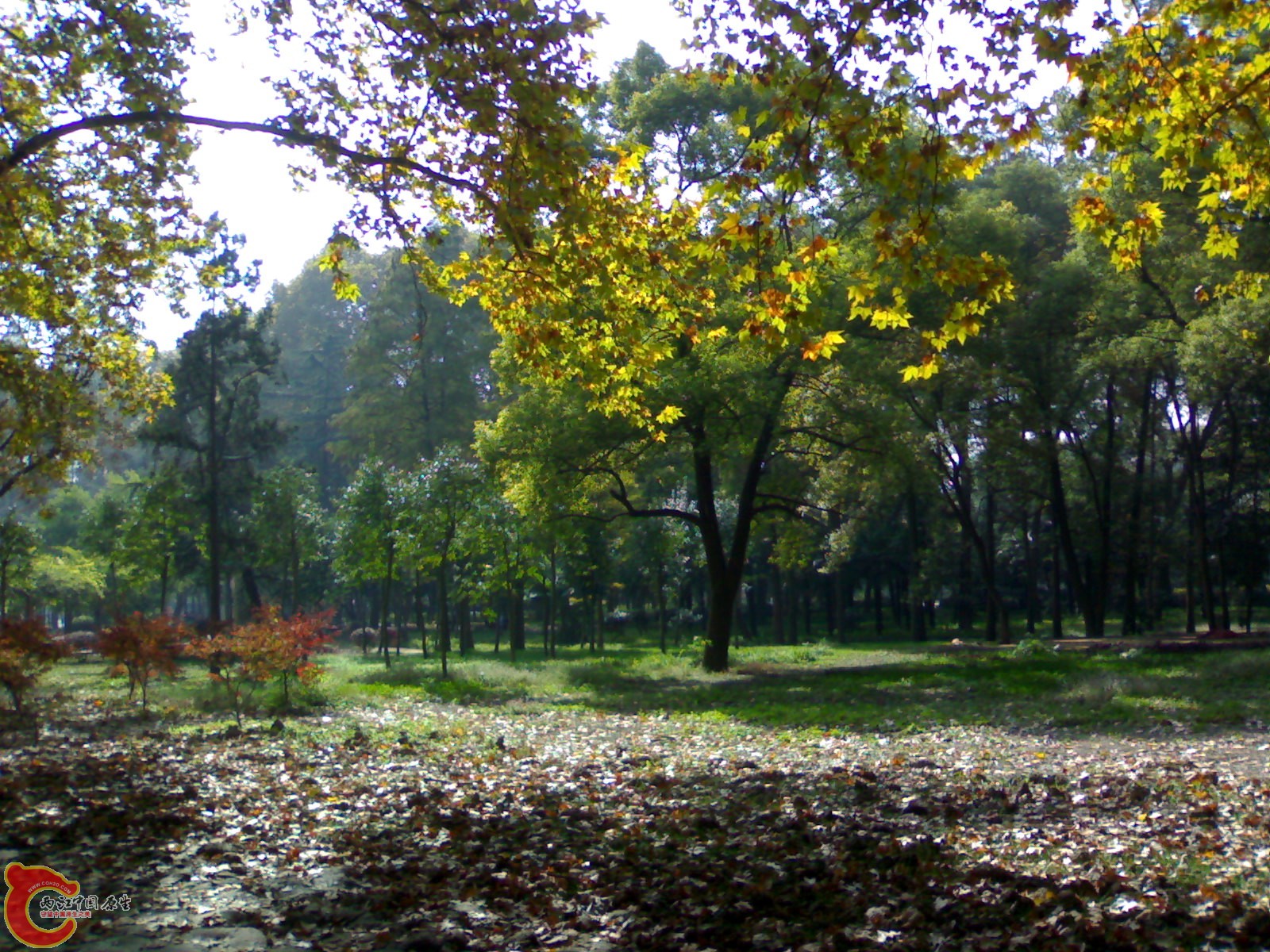 20101112939.jpg