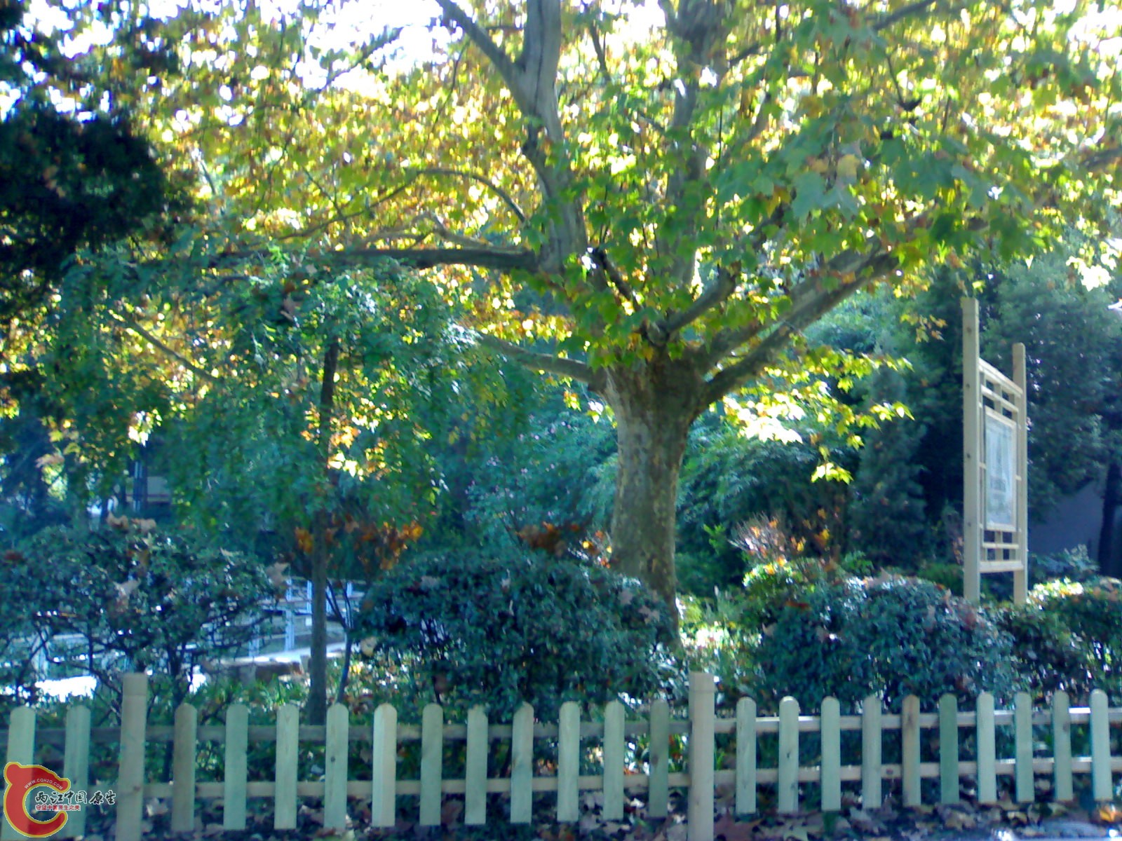 20101112942.jpg