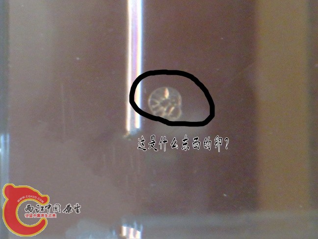 9bd9d2072eac59e37a894712_conew1.jpg