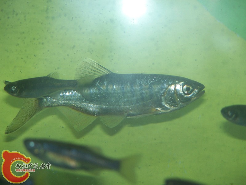 100_5670.jpg