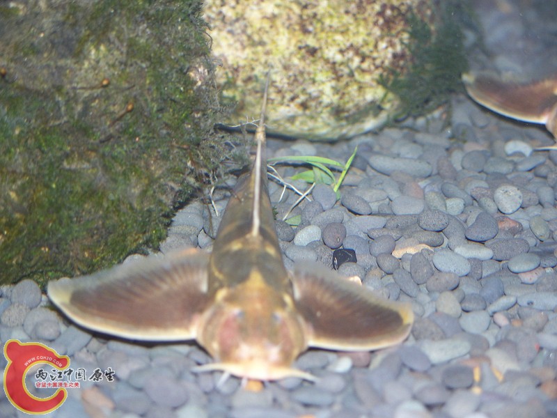 100_5662.jpg
