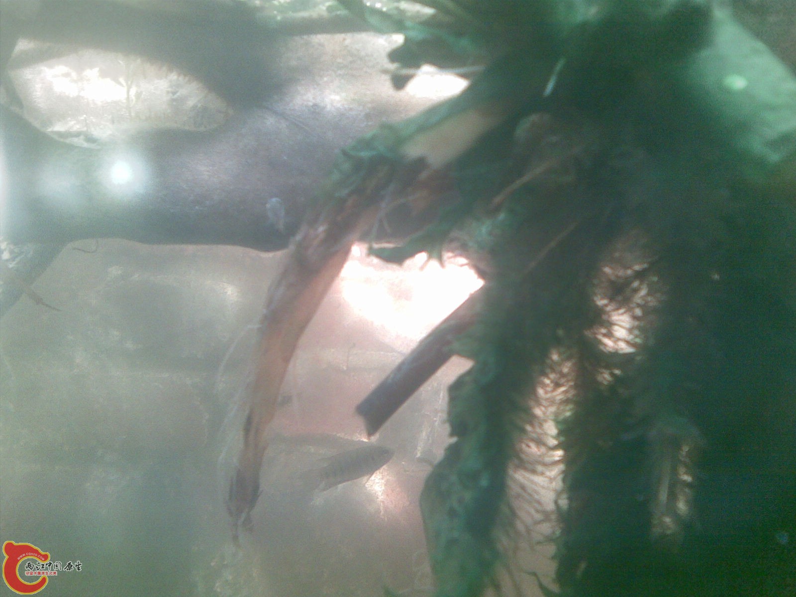 20101110(040).jpg