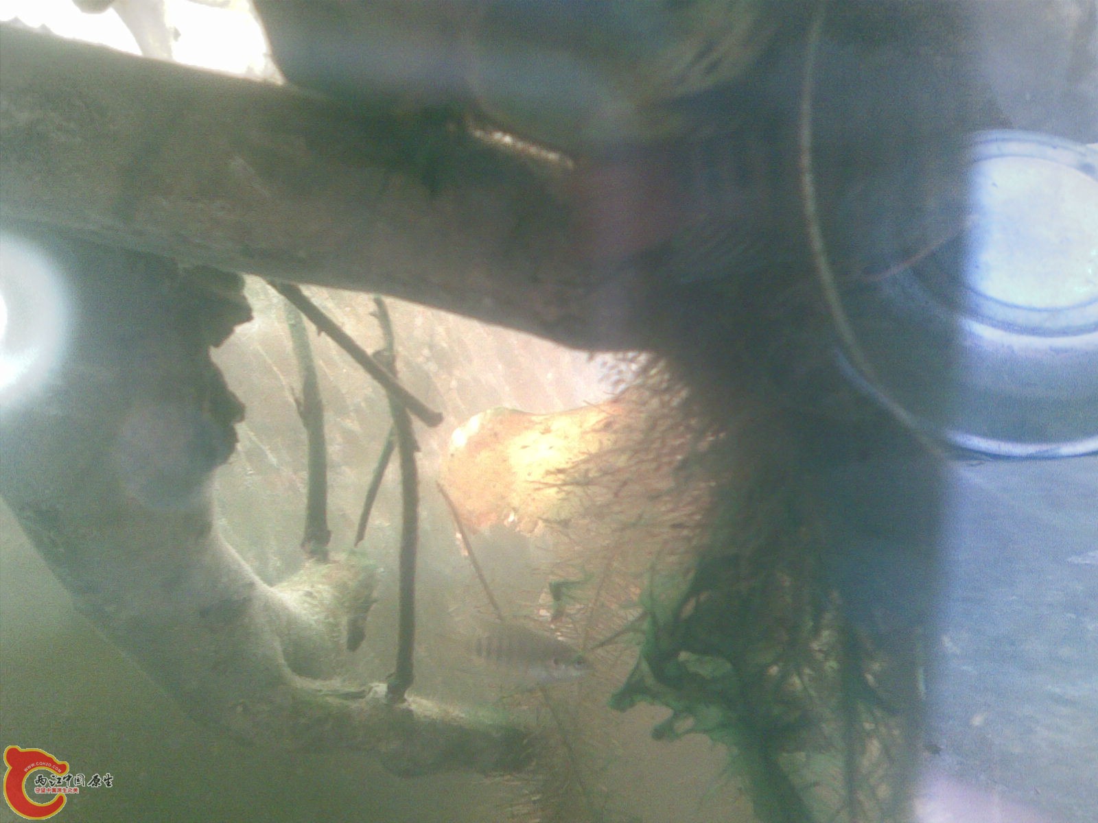 20101110(030).jpg
