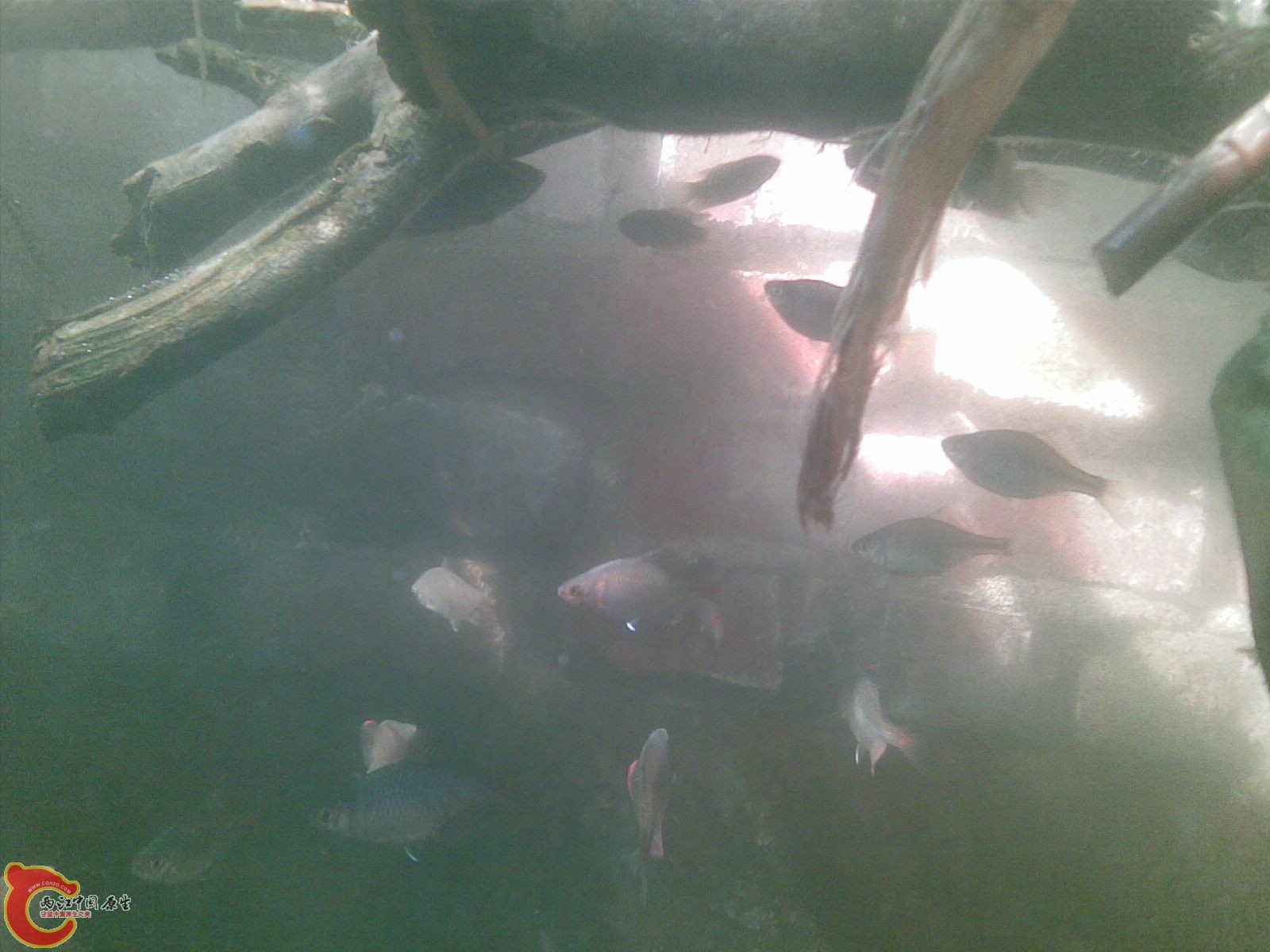 20101110(134).jpg