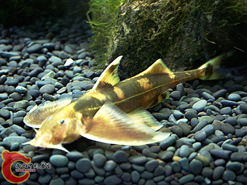 100_5689.jpg