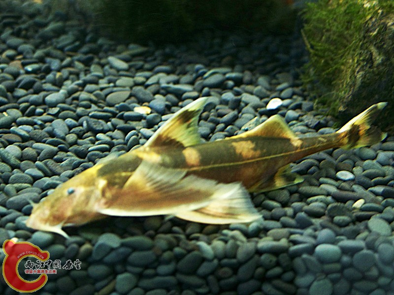 100_5690.jpg
