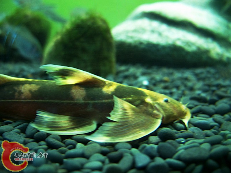 100_5700.jpg