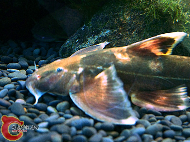 100_5703.jpg
