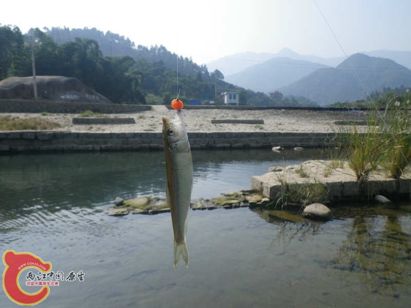 IMGP0475.JPG