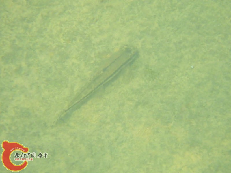 IMGP0494.JPG
