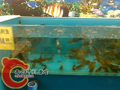 20101117509.jpg