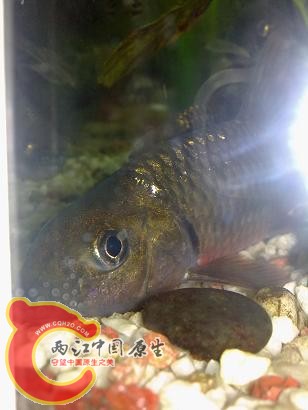 20101118519.jpg