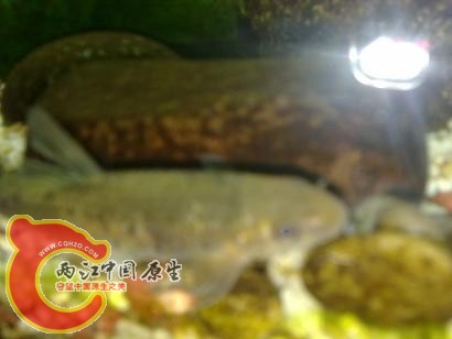 20101118513.jpg