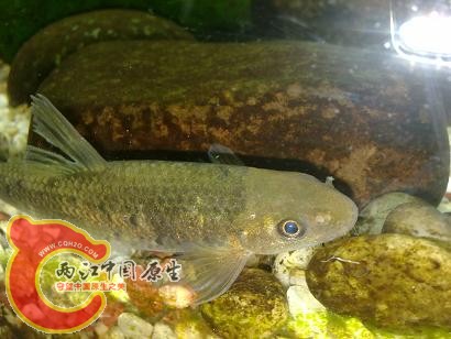 20101118514.jpg