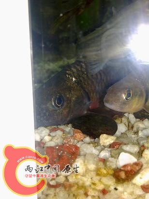 20101118518.jpg