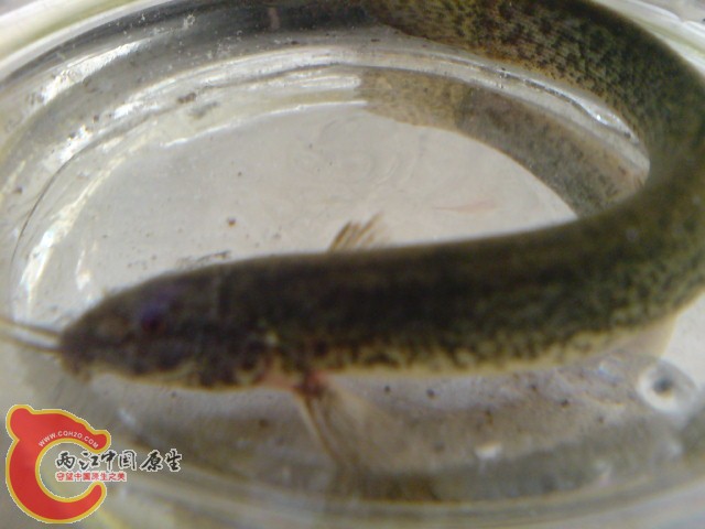 DSC00787.JPG