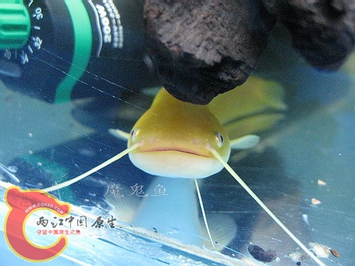 IMG_1592.jpg
