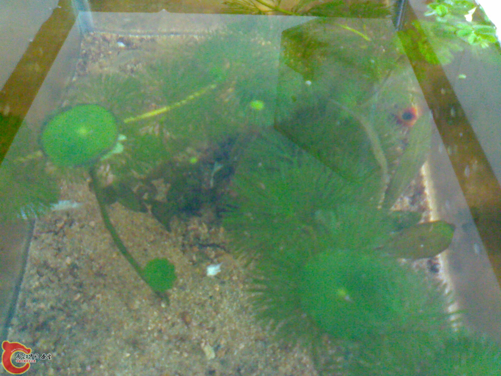 20101119999.jpg
