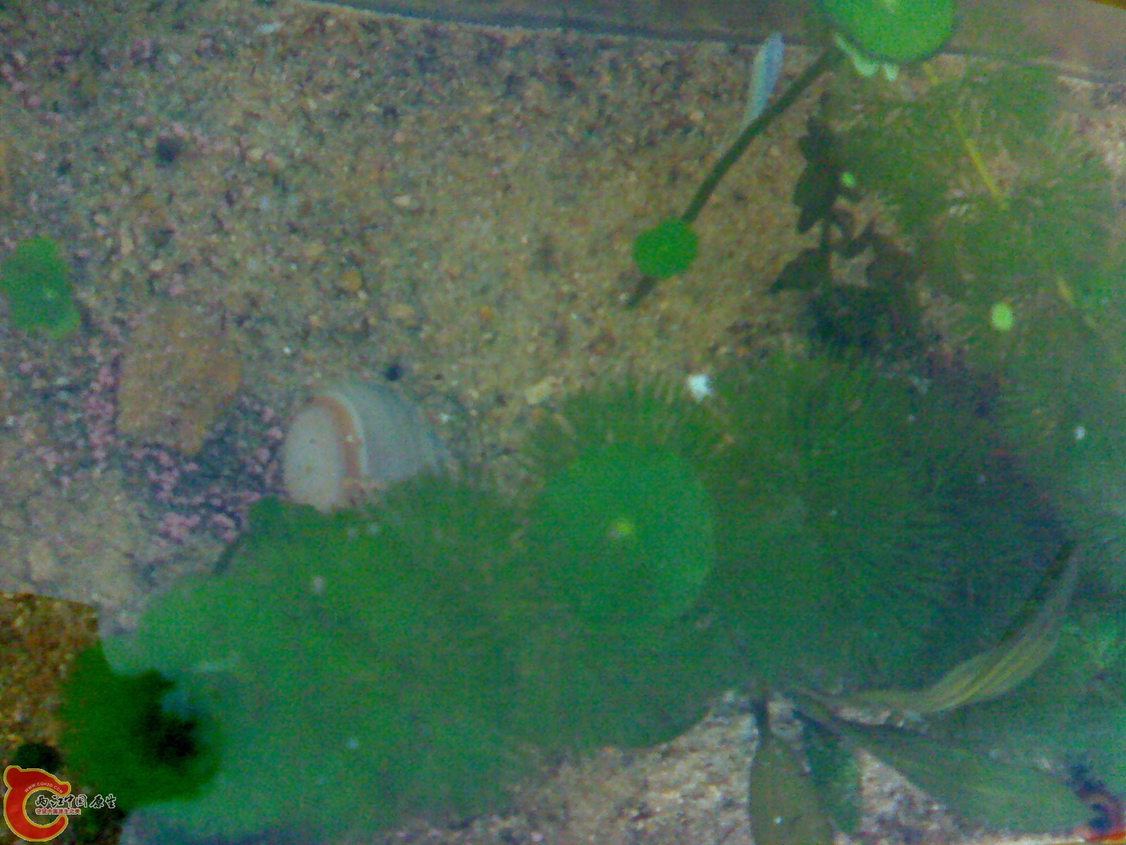 20101119998.jpg