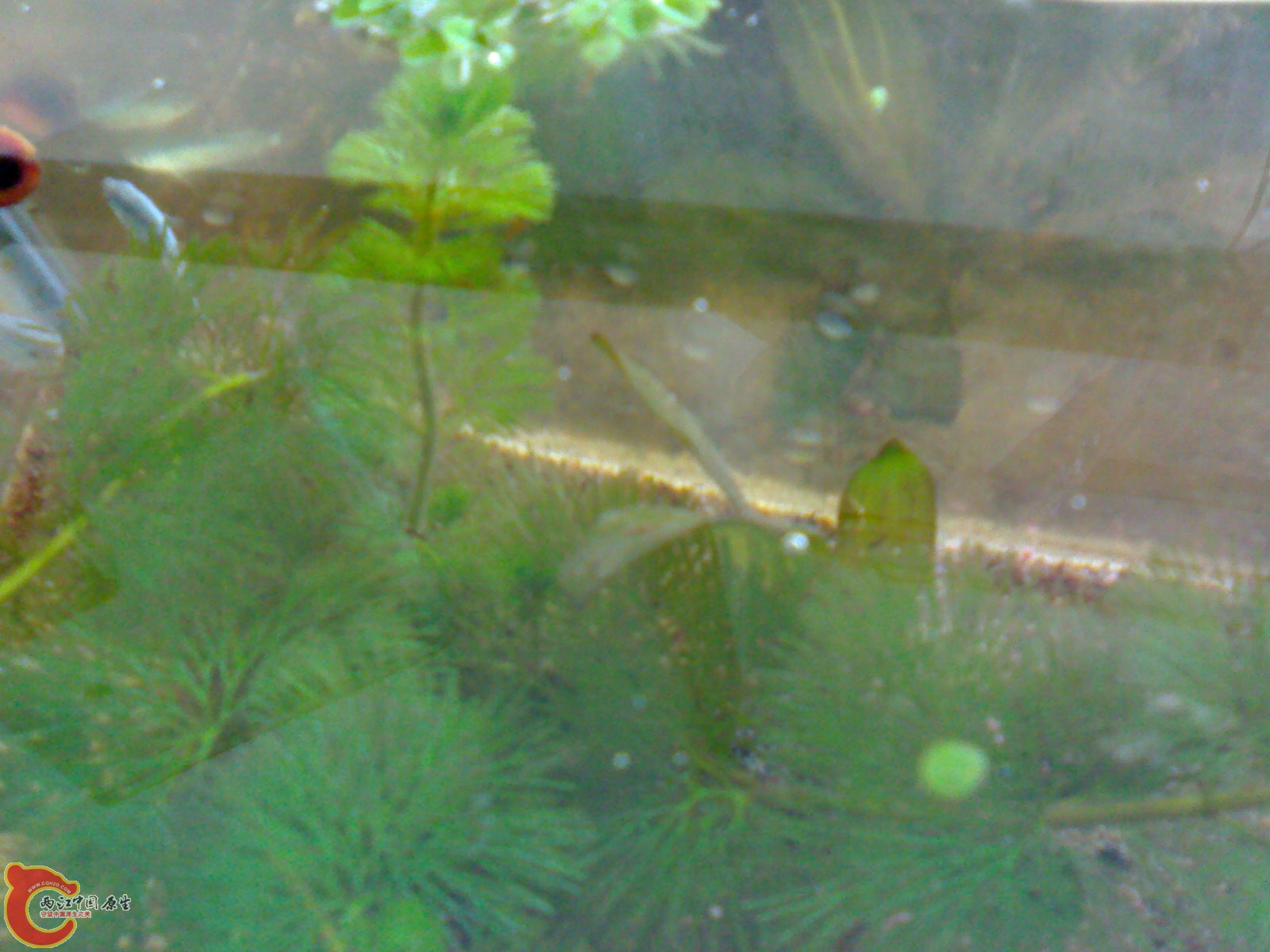 201011191000.jpg