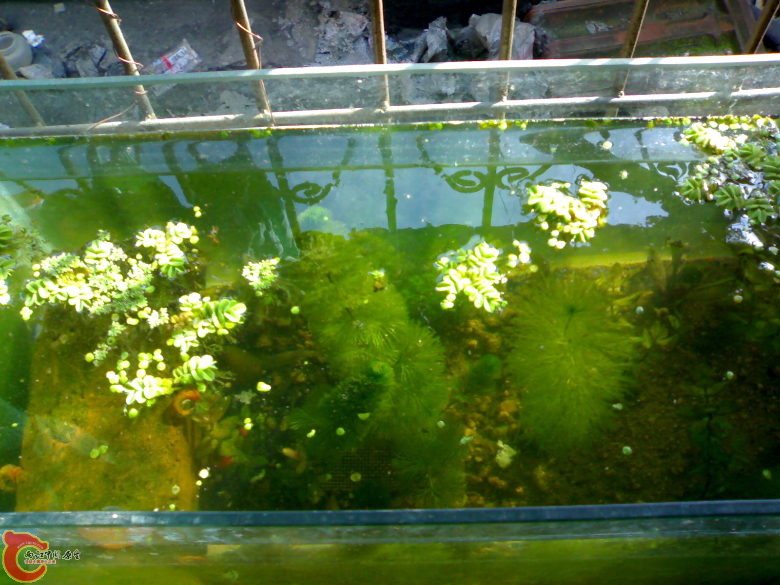 201011201018.jpg
